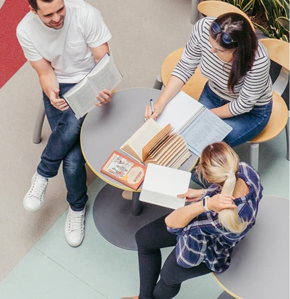 Group Study & Diversity